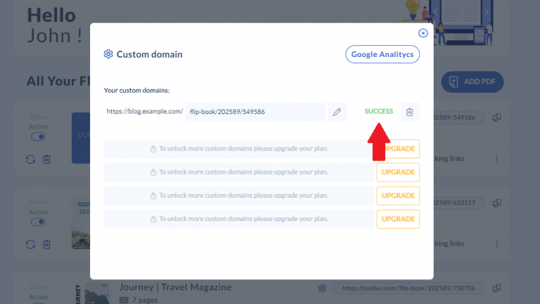 Success domain status