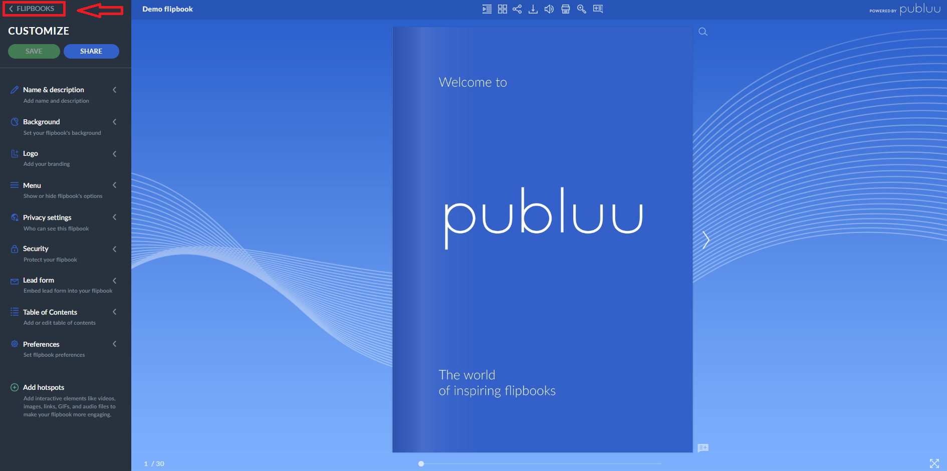 flipbook's customization