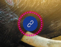 hotspot icon