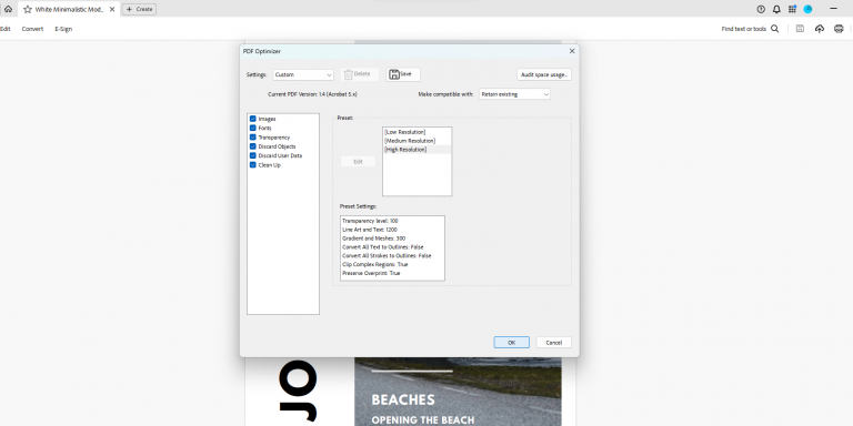 PDF Optimizer window