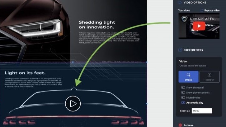 Video options in Publuu