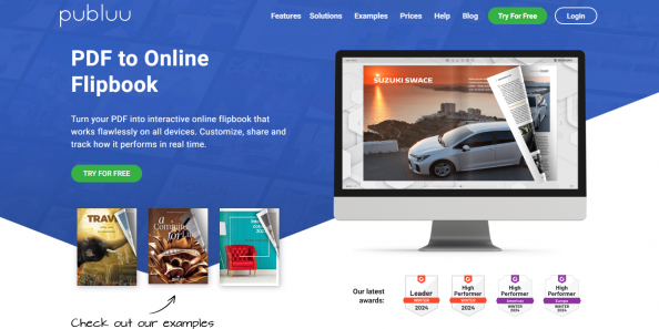 Publuu platform for document view