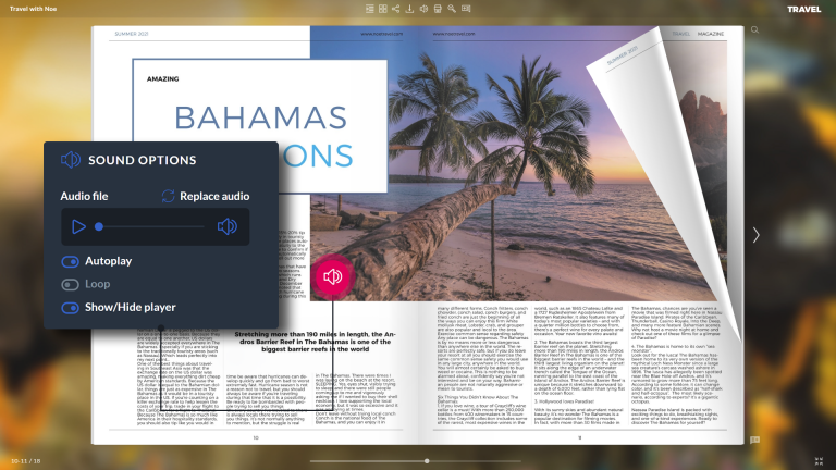 Flipbook with embedded audio file