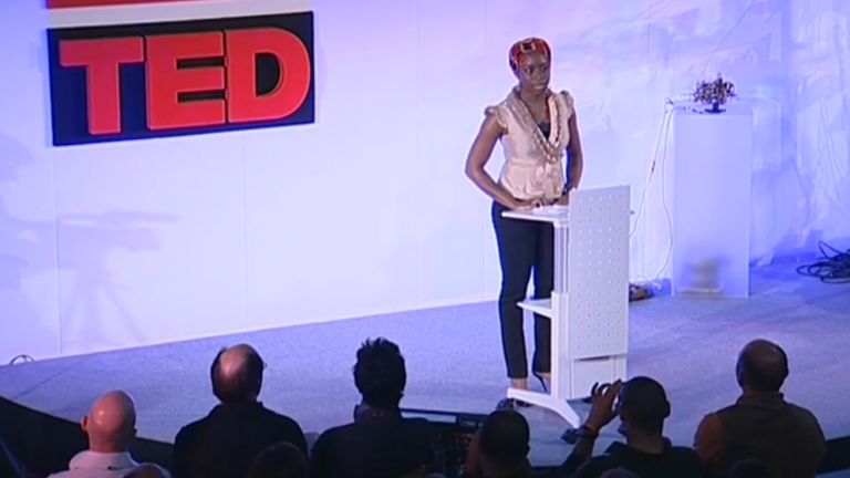 chimamanda_ngozi_adichie_the_danger_of_a_single_story_TEDx_talks