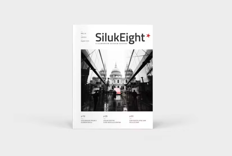 Magazine Cover Example