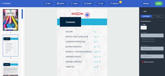 link in customization
