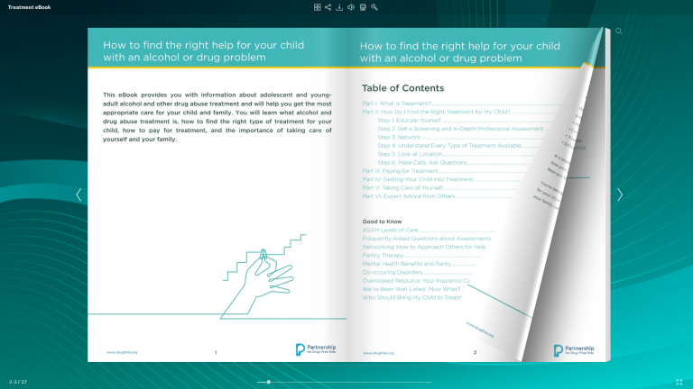 treatment-ebook-example-of-a-successful-sales-funnel