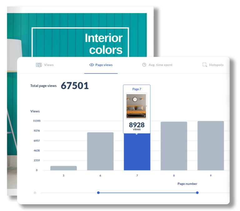 page views in publuu analytics