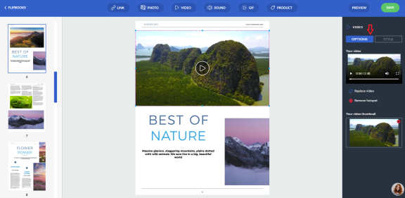video options button in flipbook maker