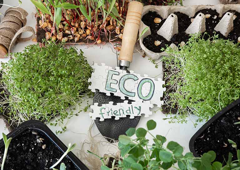 plants and eco-friendly message for green marketing