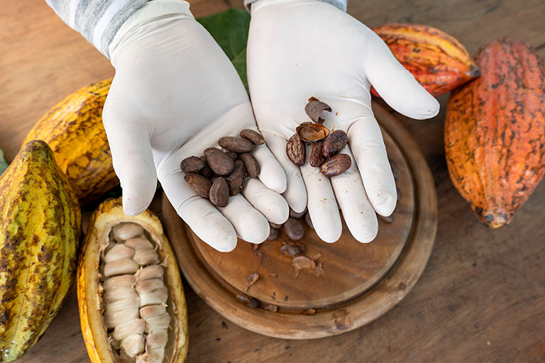 hershey sustainable cocoa sourcing as an example of green marketing
