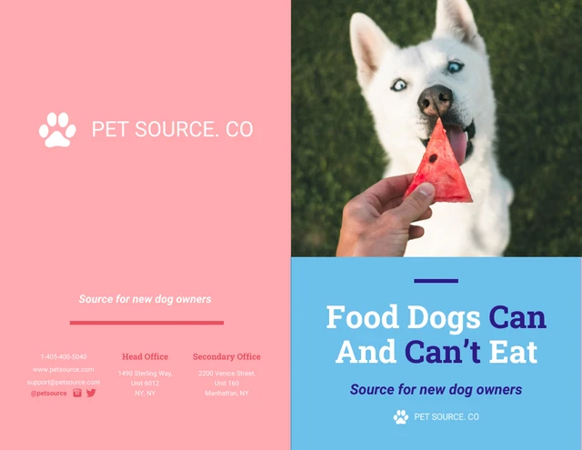 dog food marketing brochure template