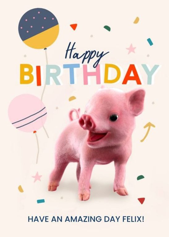 E-commerce brand ad google shopping ad for an online gift store