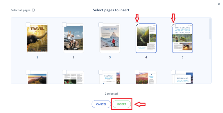 Seleziona le pagine e clicca sul pulsante Inserisci inserire pagine specifiche in un flipbook